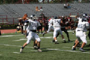 img_0833a.jpg