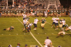 img_1205web.jpg