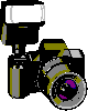 cameraflash.gif